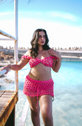 Fuchsia Butterfly Set